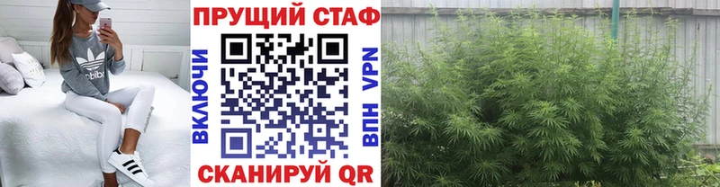 Где продают наркотики Псков ГАШИШ Codein Меф мяу мяу Канабис Alpha-PVP