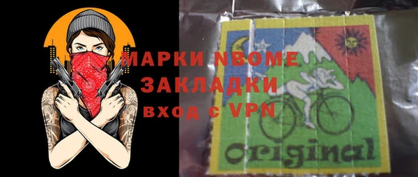прущие грибы Абинск