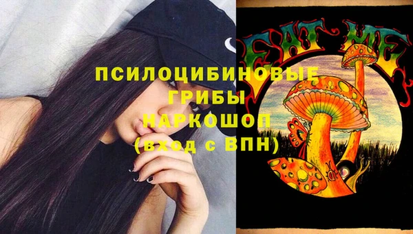 винт Абаза