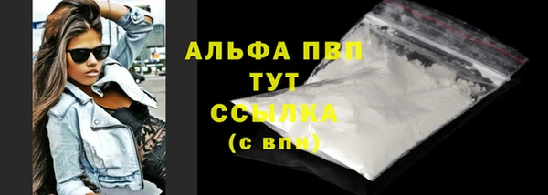 винт Абаза