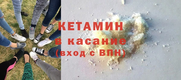 прущие грибы Абинск