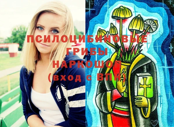 винт Абаза