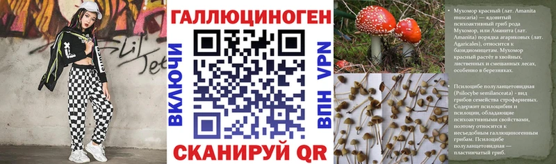 omg сайт  Псков  Псилоцибиновые грибы MAGIC MUSHROOMS  где купить наркоту 